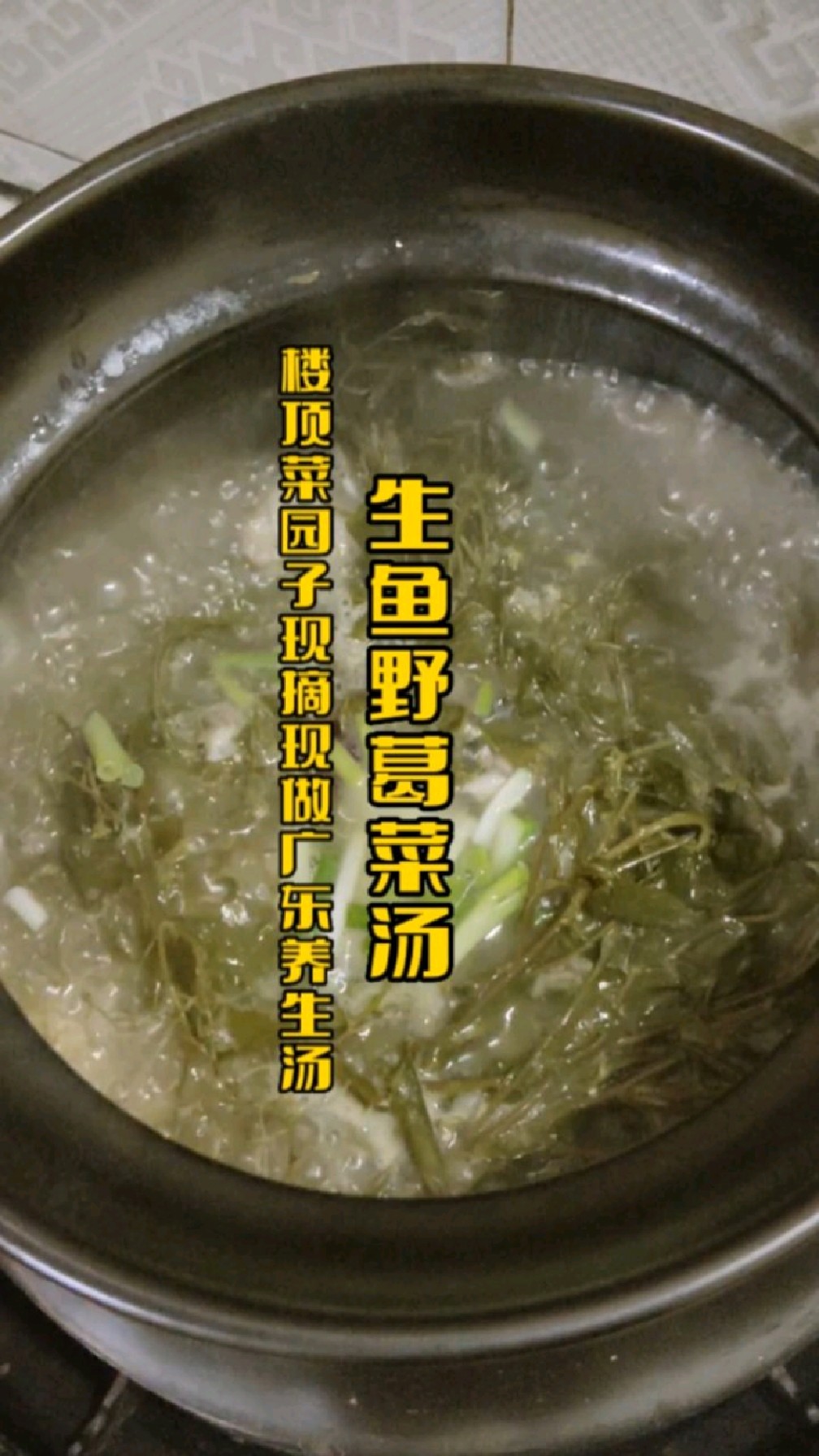 儿时的味道,满满的回忆!现摘现做野葛菜生鱼汤,童年常喝养生汤,生津止渴,清热解毒