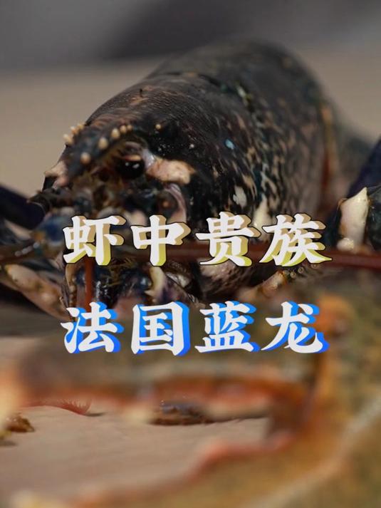 300W龙虾中才出一只的法国蓝龙味道到底如何?