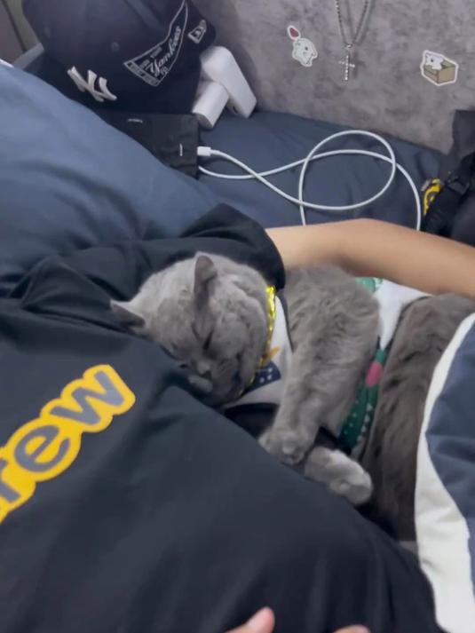 大家快看我藏在宿舍的宝贝 肉肉的好可爱