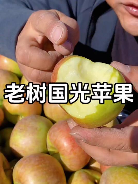 东北人小时候一吃吃一冬天的国光苹果!新鲜应季水果#快来一起尝
