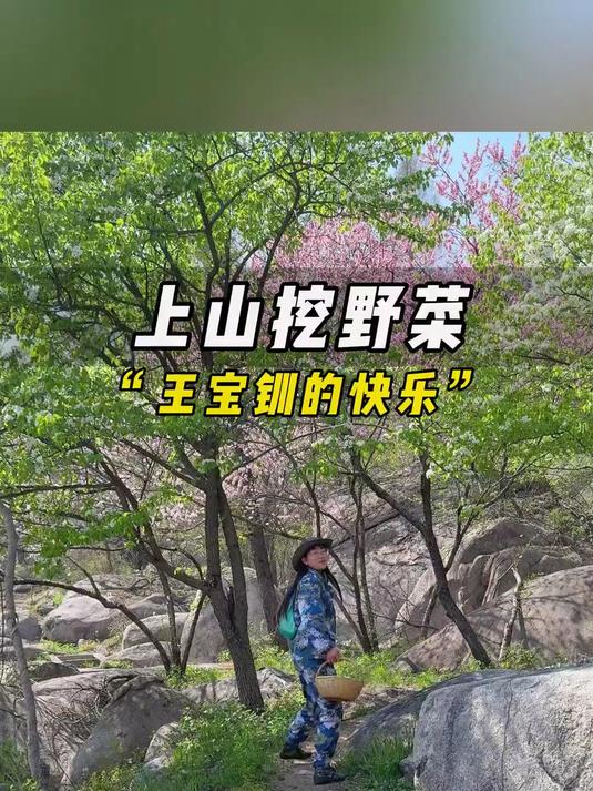 谁能拒绝春天做个“王宝钏”,去山间体验挖野菜的快乐