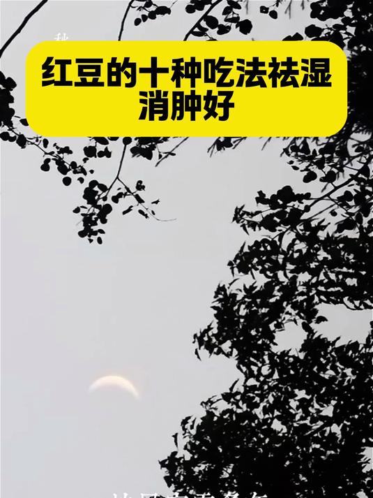 红豆的十种吃法祛湿消肿好