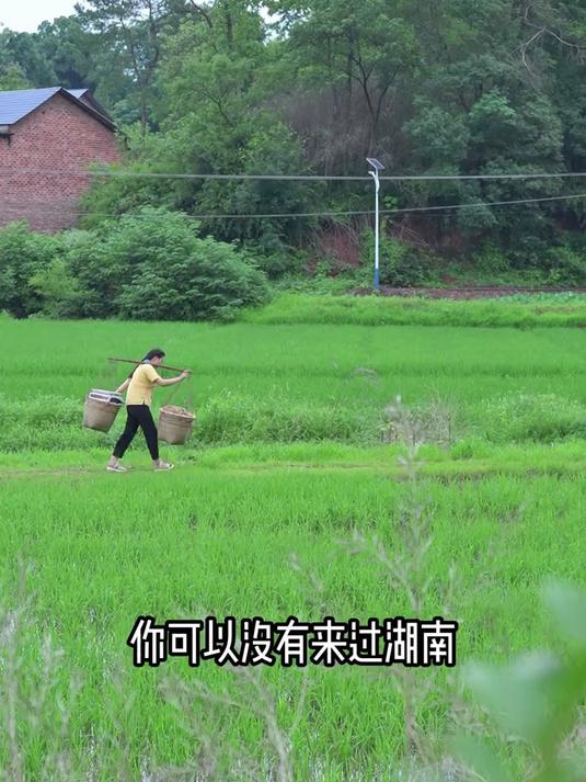 不吹不黑！这绝对是我吃过最上头的小鱼干，没有之一