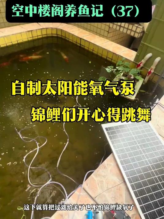 空中楼阁养鱼记 增加太阳能氧气泵