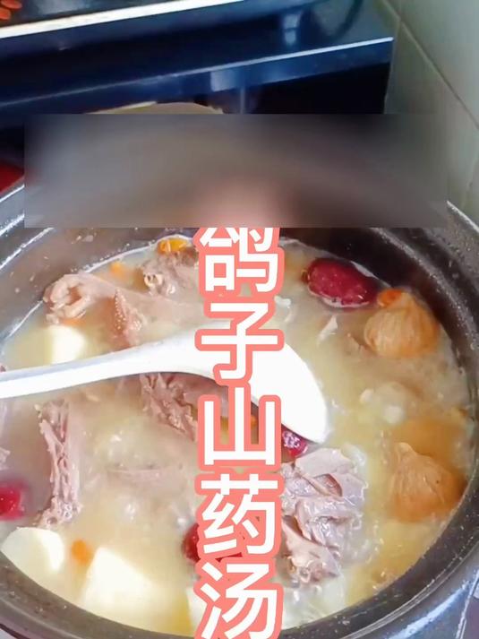 鲜纯养身鸽子汤 山药搭配食补更安心