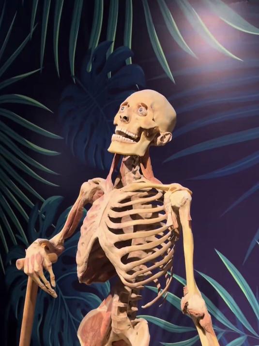 致敬大体老师!我们最灵活的骨骼竟然是下颌骨