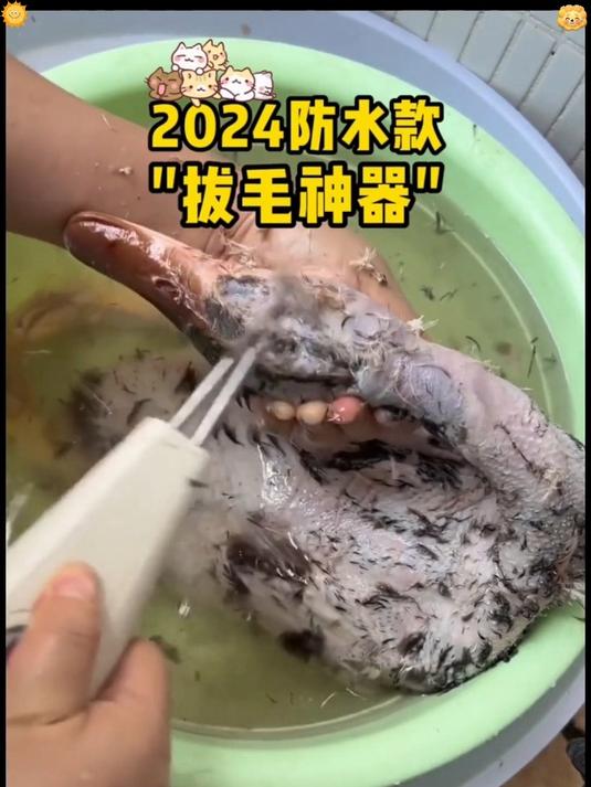 外贸高品质鸡毛鸭毛电动去鸭鹅家禽脱毛机拔毛机