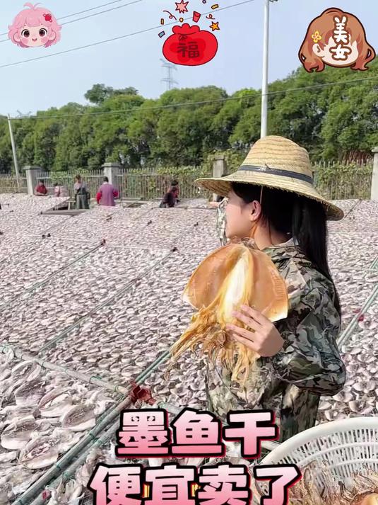 淡晒墨鱼干追求高品质的可以看下这款墨鱼肉质厚实颜色好看#墨鱼干#