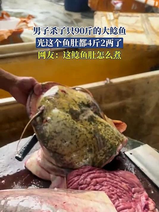 男子杀了只90斤的大鲶鱼,光这个鱼肚都4斤2两了,这鲶鱼肚怎么煮