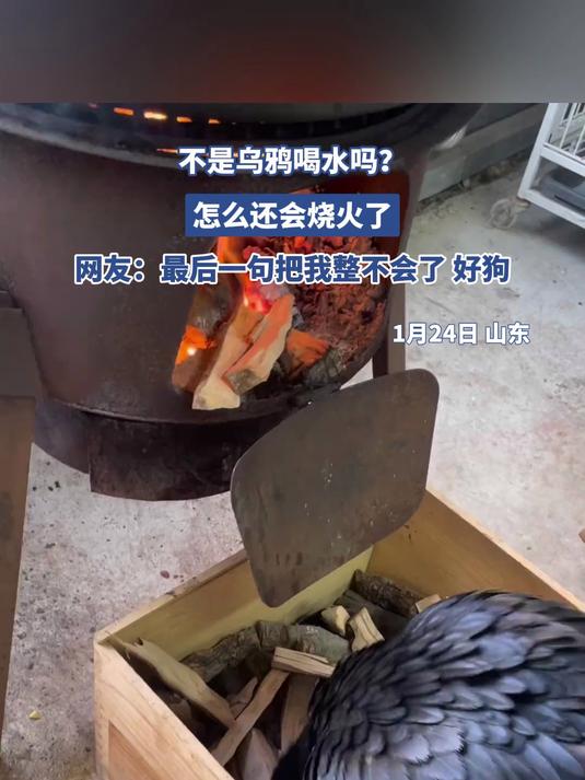 不是乌鸦喝水吗？怎么还会烧火了