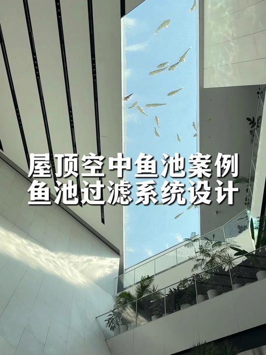把自然搬上屋顶,空中鱼池施工与过滤系统设计