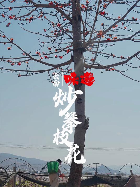 傣味舂鸡脚 这是最叛逆的云南味道