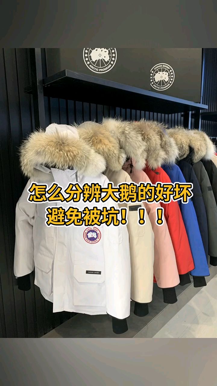 如何分辨大鹅羽绒服的好坏