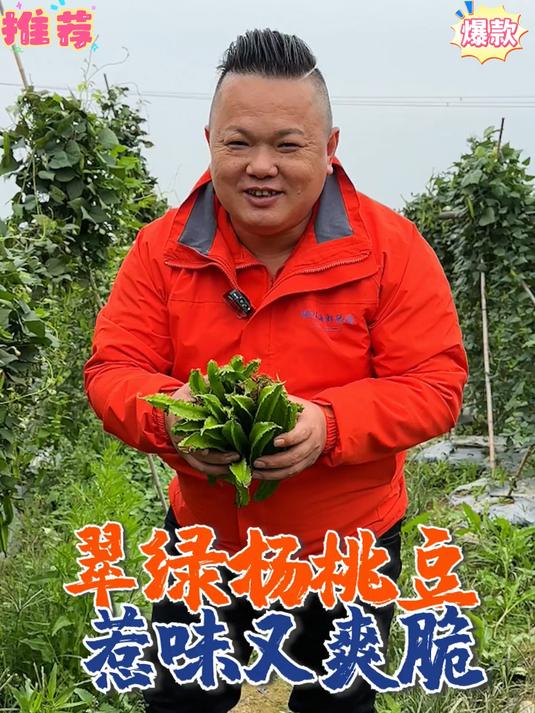 四棱豆又叫四角豆豆荚口感脆嫩典型的热带蔬菜