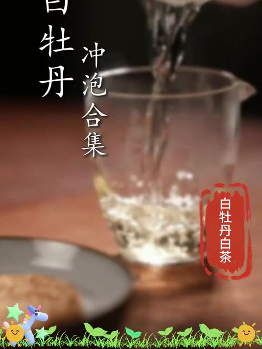 白牡丹白茶等级:特级 vs 一级,怎么选不踩坑