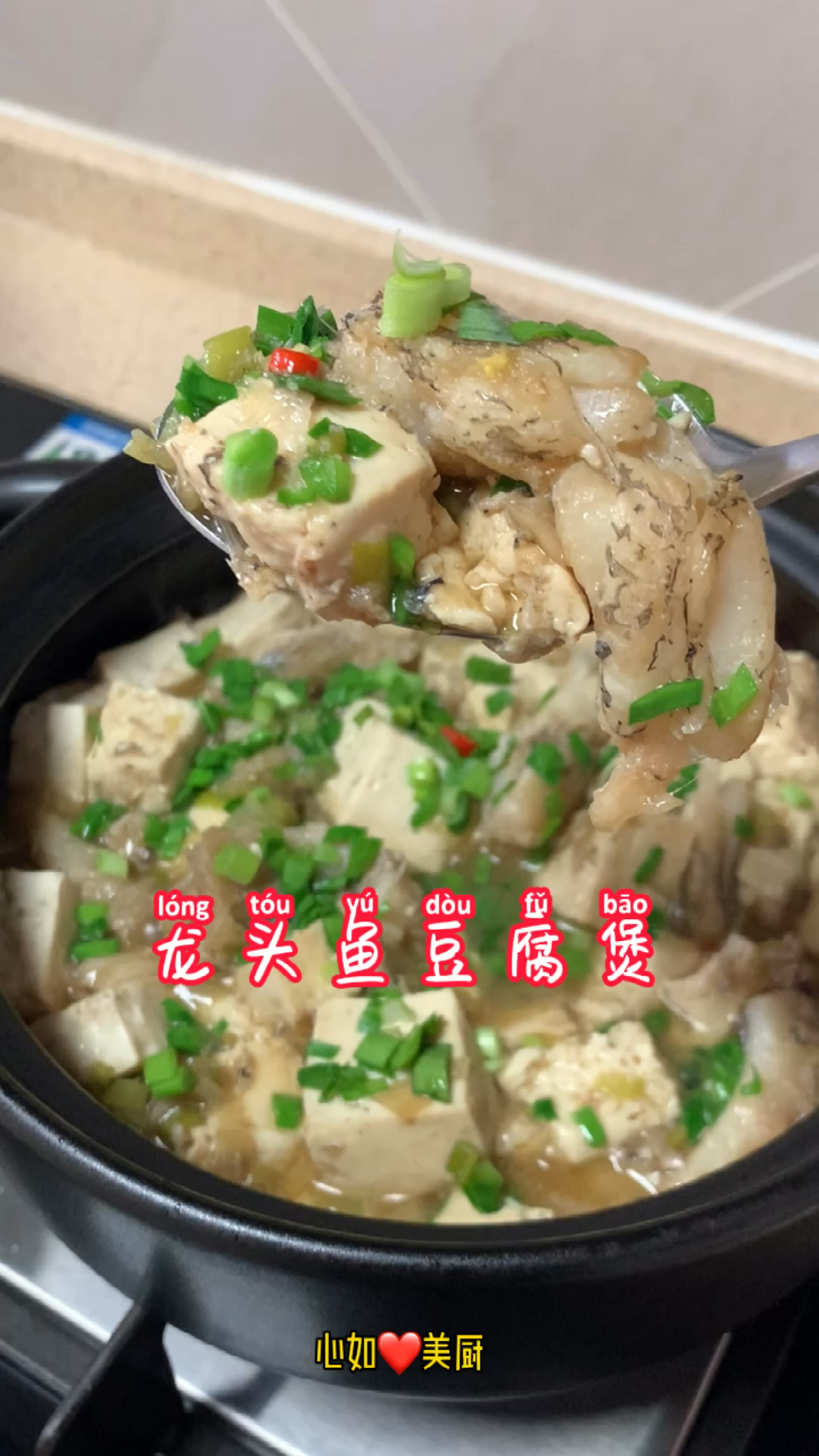 龙头鱼豆腐煲,肉质细嫩鲜美!“水潺”是浙南一带的叫法,浙北等地叫龙头鲓