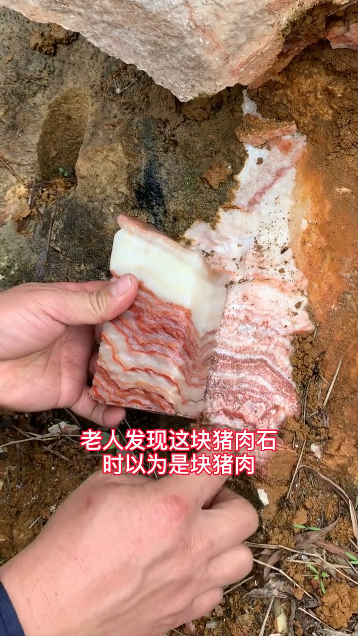 广西天然猪肉石