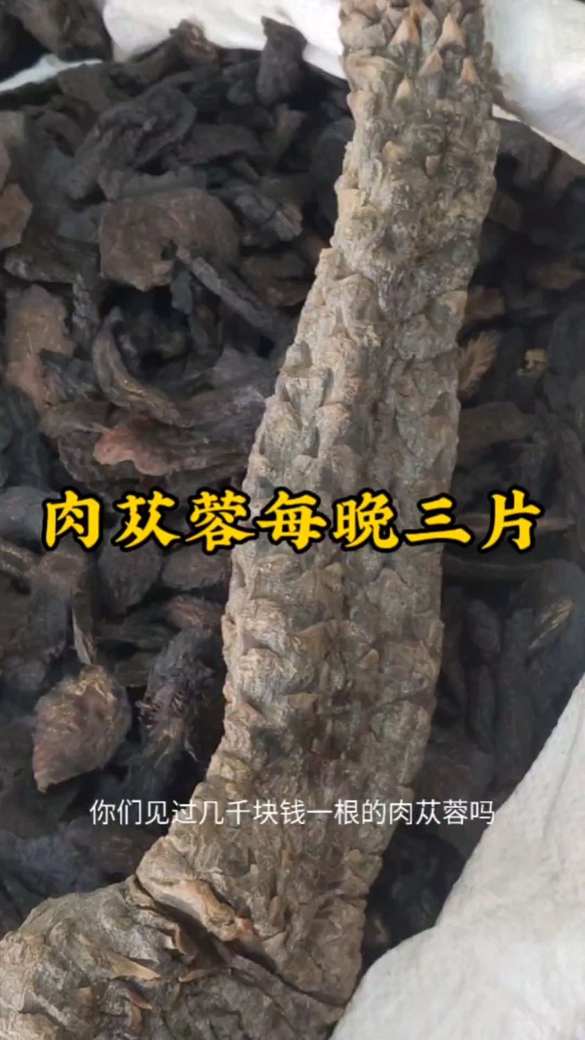 肉苁蓉又叫地精,俗称加油站,太难了很多人阳弱不够力
