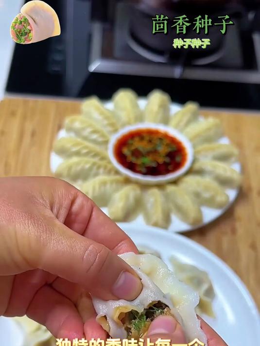 阳台小院种茴香,轻松收获,炒肉超下饭