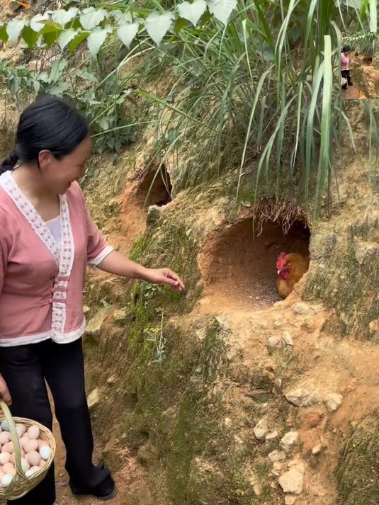 散养鲜土鸡蛋现捡现发破损包赔新鲜直达