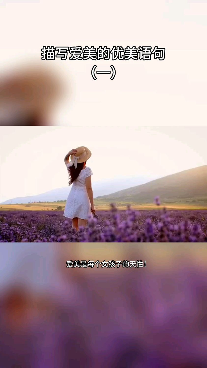描写爱美的优美语句(一)