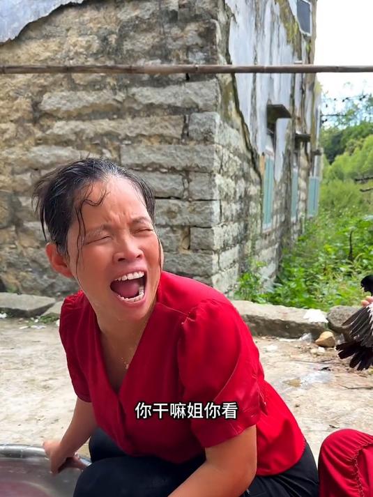 哇好可爱的小鸟这个汤也好美味