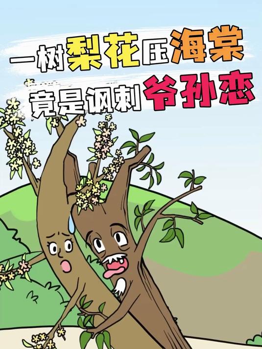 “一树梨花压海棠”居然是老牛吃嫩草