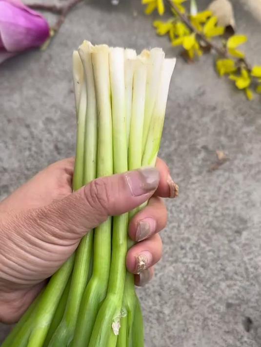 奶奶传授的捆菜结技巧，简单实用，学会后轻松捆扎蔬菜不松散 #绳结技巧 #绳结
