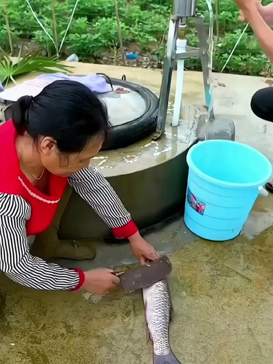 看看这款不锈钢鱼鳞刨，用起来方便，刮鱼鳞轻松搞定
