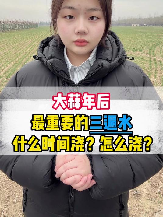 大蒜年后最重要的三遍水 什么时间浇?怎么浇?