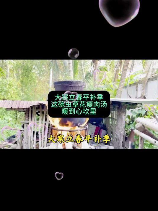 虫草瘦肉汤