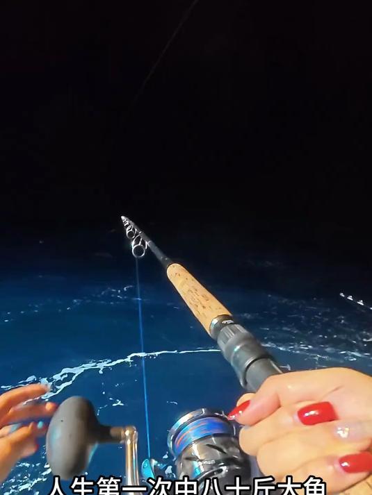 三亚渔港进货，卖鱼不幸亏本