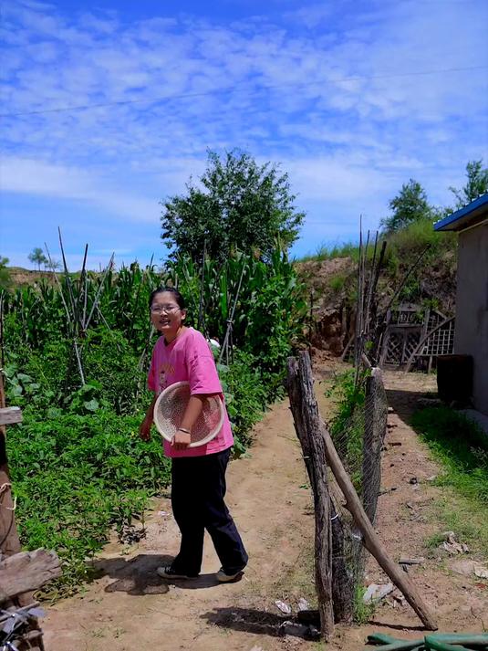 你们想不想来陕北种菜园子，感受一下悠闲的田园生活！