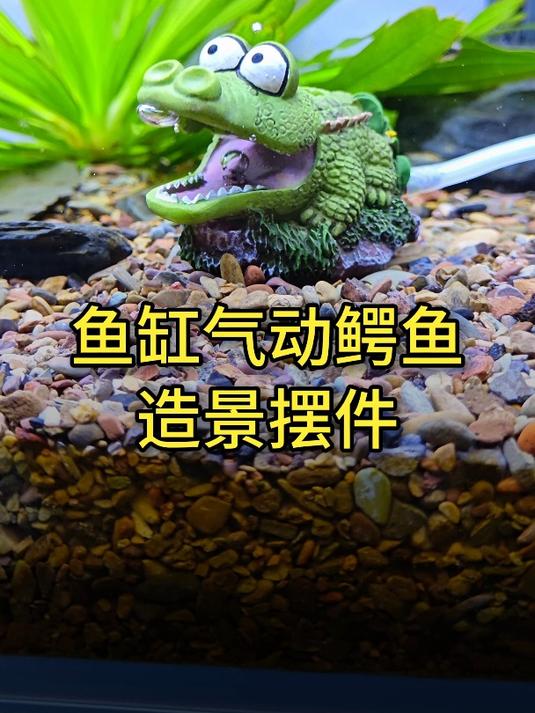 鱼缸养条“鳄鱼”?原来是气动鳄鱼摆件,放鱼缸里还会张嘴增氧