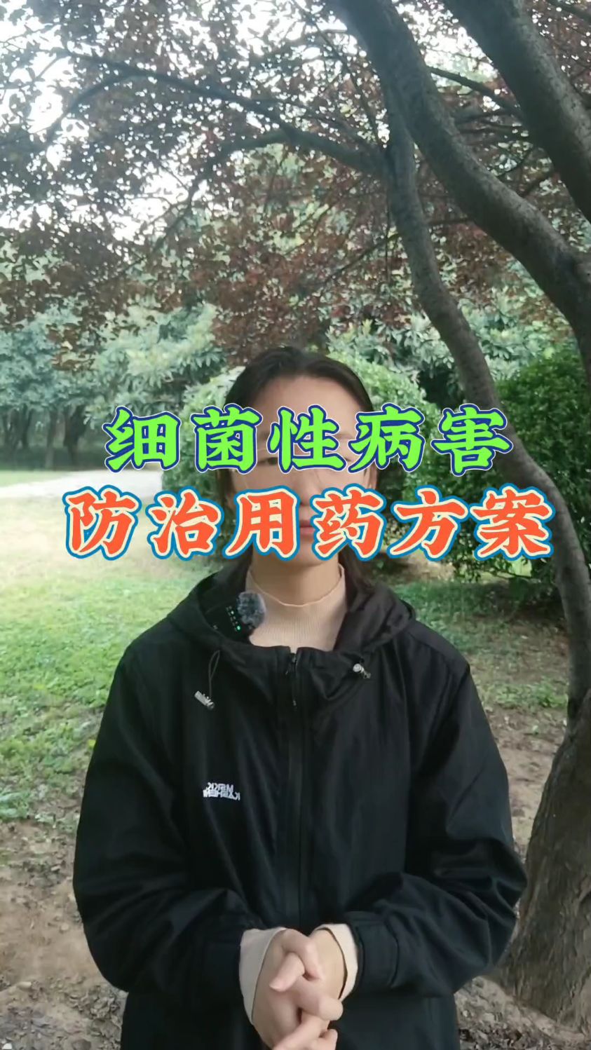 大白菜软腐病用什么特效药防治?农作物细菌性病害怎么办?细道对软腐病流胶病效果显著