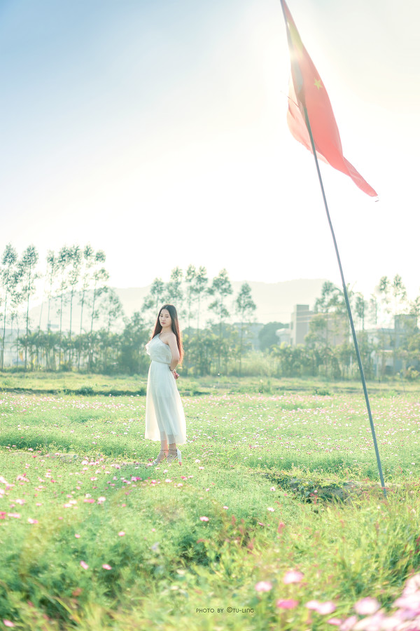 图片[11]-田园花香-六色网