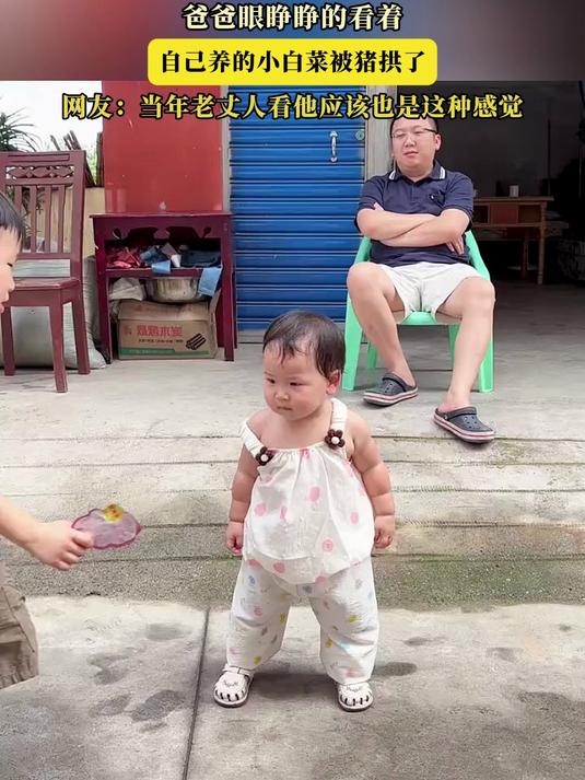 爸爸眼睁睁的看着，自己养的小白菜被猪拱了