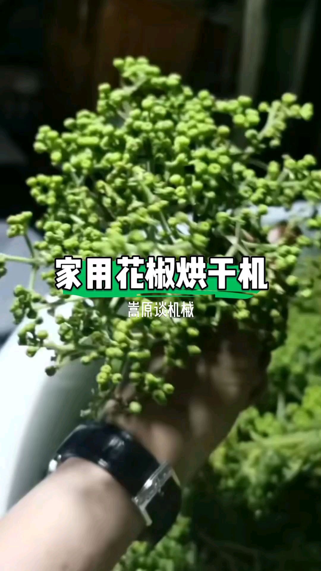 家用220V电小型空气能花椒烘干机,一次烘干300斤,仅需12小时即可