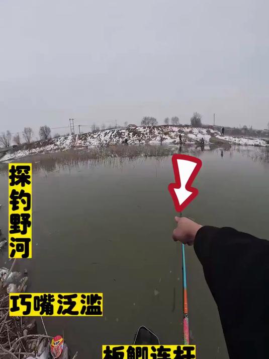 冬季野钓大板鲫连杆真过瘾#钓鱼#