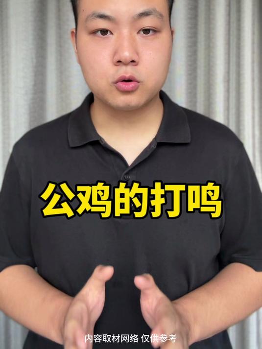 公鸡打鸣的背后