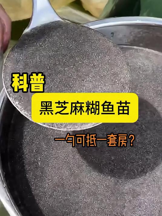 黑芝麻糊鱼苗 奇闻趣事
