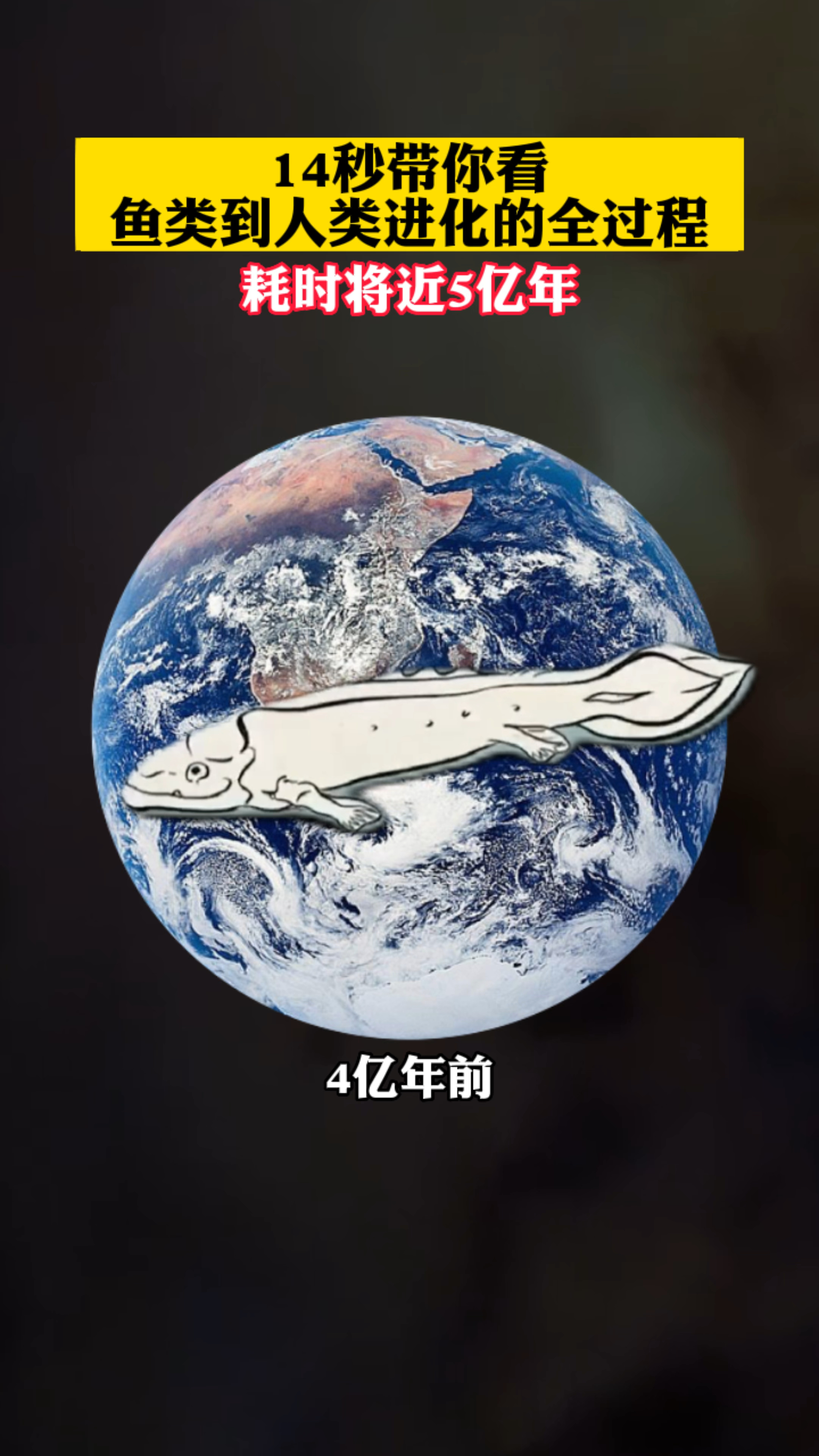 14秒带你看鱼类到人类进化的全过程,耗时将近5亿年!