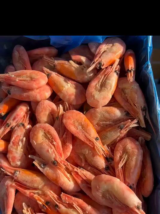 云储生活格陵兰腹籽北极甜虾90/120规格净重2.7斤北极熊大号冰虾元宝虾
