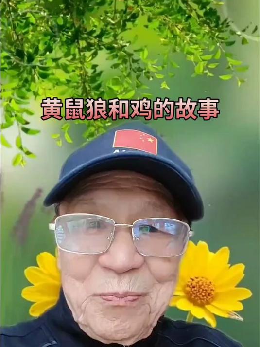 黄鼠狼和鸡的故事