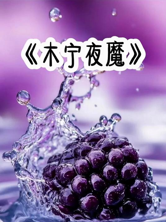 木宁 夜魔#热门小说推荐#