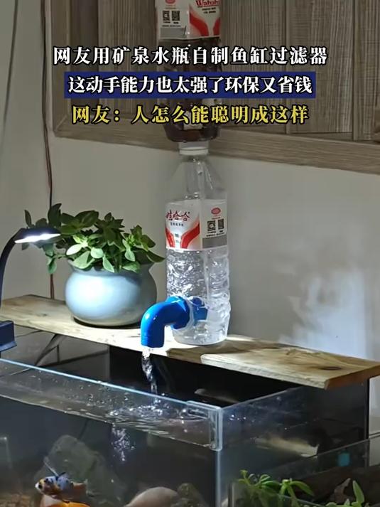 网友用矿泉水瓶自制鱼缸过滤器,这动手能力也太强了环保又省钱