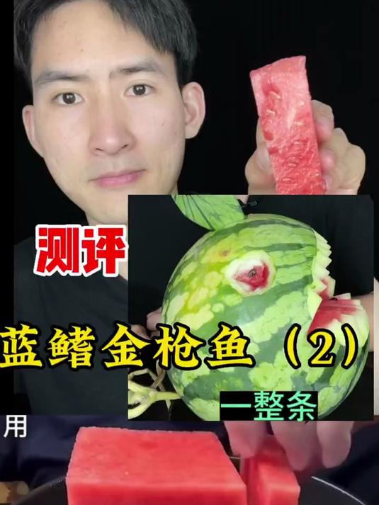 整条蓝鳍金枪鱼