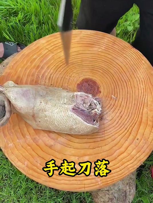 卢大锤轴承钢斩切两用菜刀