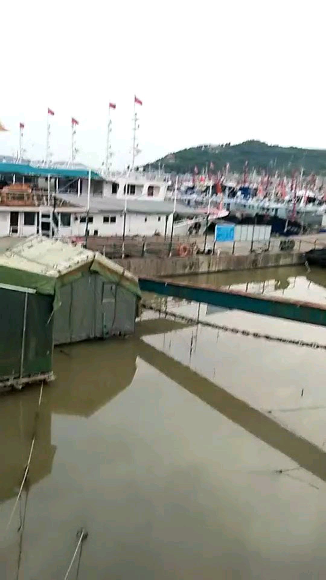 夏门鱼港,大卡们的鱼船归港太壮观