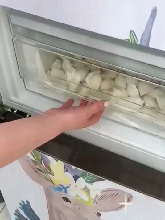 饺子盒多层大容量设计,专为厨房冰箱,水饺馄饨包子整齐藏